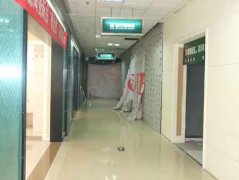 中广网日动静近日